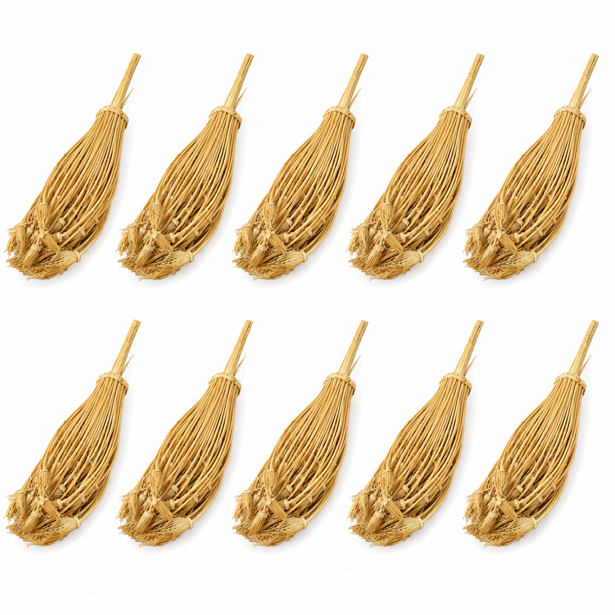 Lot de 10 Khella Ammi Visnaga – Cure-Dents Traditionnels du Maroc