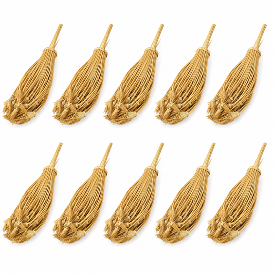Lot de 10 Khella Ammi Visnaga – Cure-Dents Traditionnels du Maroc