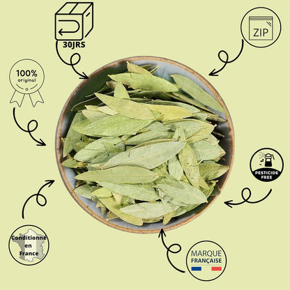 Feuilles de Séné Makki – Laxatif Naturel & Détox du Côlon