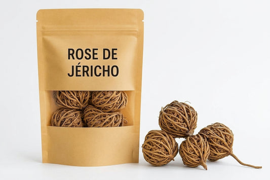 Rose de Jéricho – Fleur de la Fertilité & de la Renaissance Spirituelle - 100g