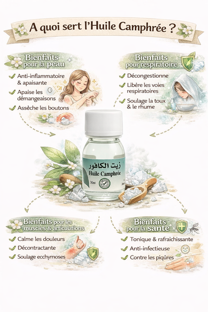 Huile de Camphre 30 ml – Huile de Massage Corps