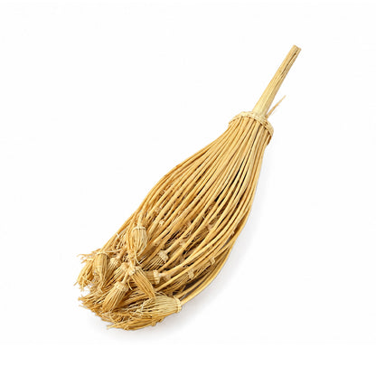 Lot de 10 Khella Ammi Visnaga – Cure-Dents Traditionnels du Maroc
