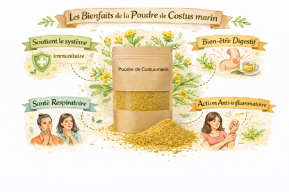 Poudre de Costus Marin 100 g – Usage Traditionnel Naturel
