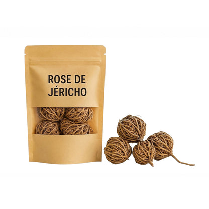 Rose von Jericho - Blume der Fruchtbarkeit & der spirituellen Wiedergeburt - 100g